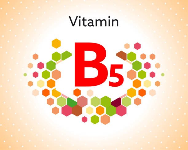 A variety of foods rich in Vitamin B5, including eggs, whole grains, broccoli, and nuts.