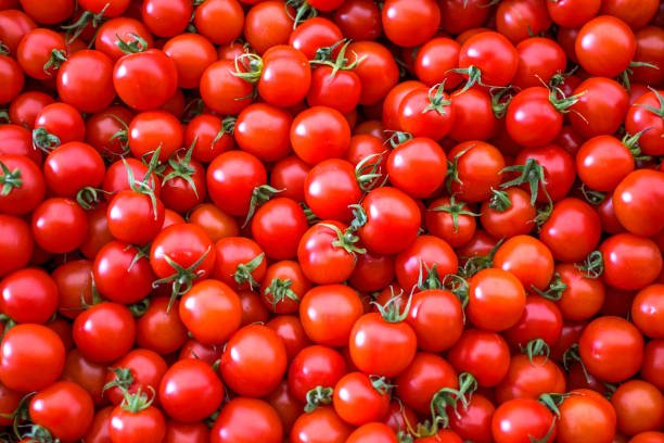 Bright red tomatoes and watermelon slices highlighting natural sources of Lycopene.