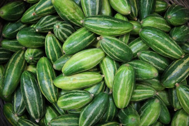 A fresh pointed gourd sliced open, showing its white, watery interior with ridged green skin.