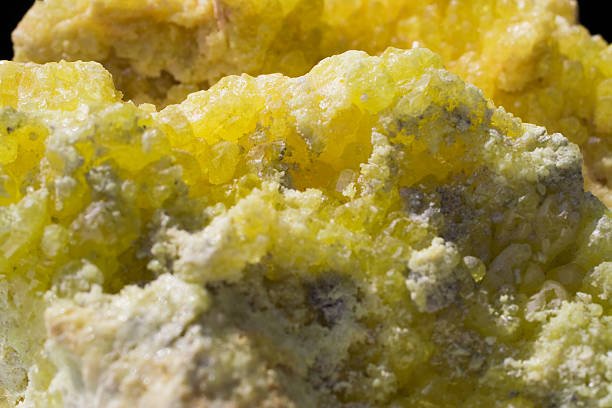 A variety of foods like garlic, eggs, and broccoli showcasing natural sources rich in sulfur.