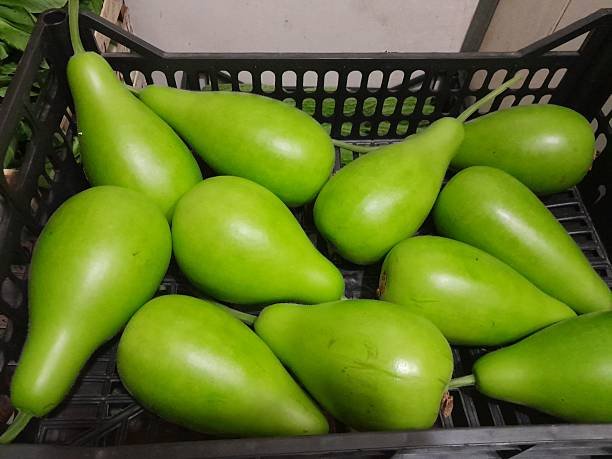 A fresh, green bottle gourd sliced open to reveal its white, watery flesh inside.