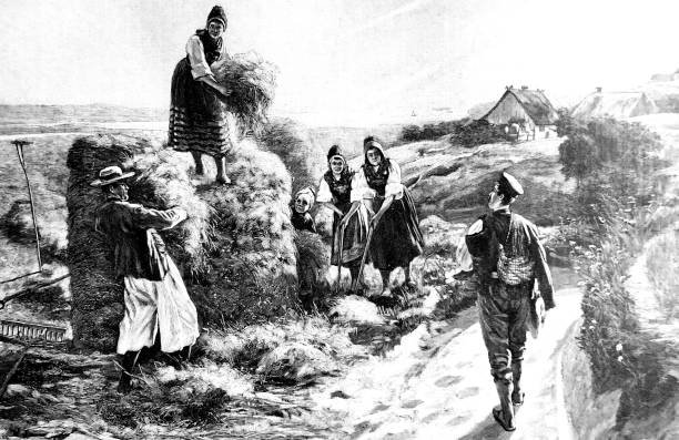 A dry, barren landscape with cracked soil and a few withered crops illustrating the impact of famine.