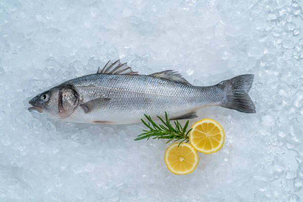 Fresh sea bass fish with tender, flaky white flesh displayed on ice, highlighting its quality.
