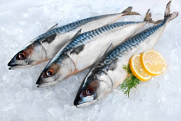 Fresh mackerel fish with shiny, silver skin and vibrant color displayed on ice.