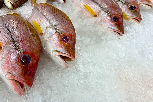 Fresh snapper fish with pinkish, firm flesh displayed on a cutting board, highlighting its quality.