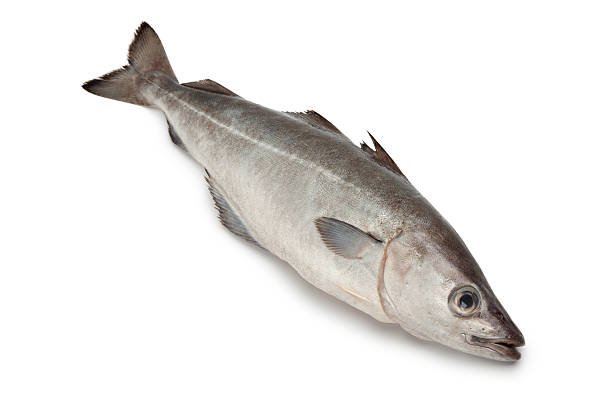 Fresh pollock fillet with white, flaky flesh displayed on a cutting board, ready for cooking.
