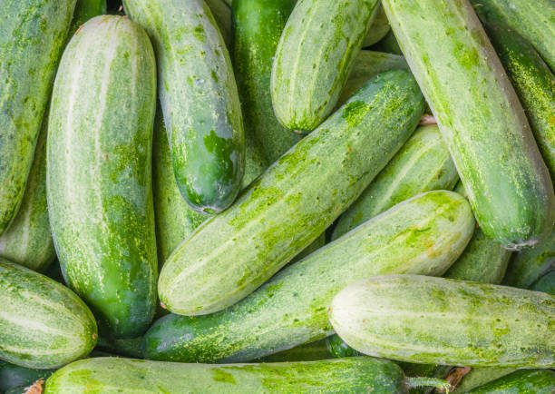 Fresh green cucumber slices with water droplets, showcasing their crisp texture.